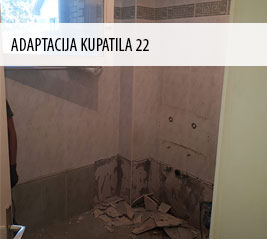 Adaptacija 22